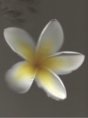 Meet your Posher, Noon gigi alvarez